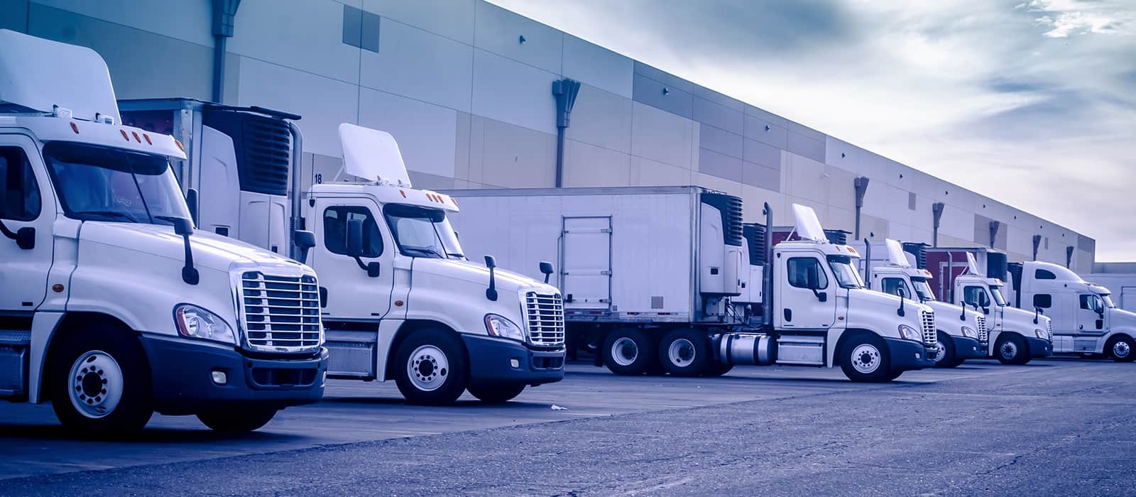 Ecommerce Distribution Truck Fleet Unloading | FW Logistics