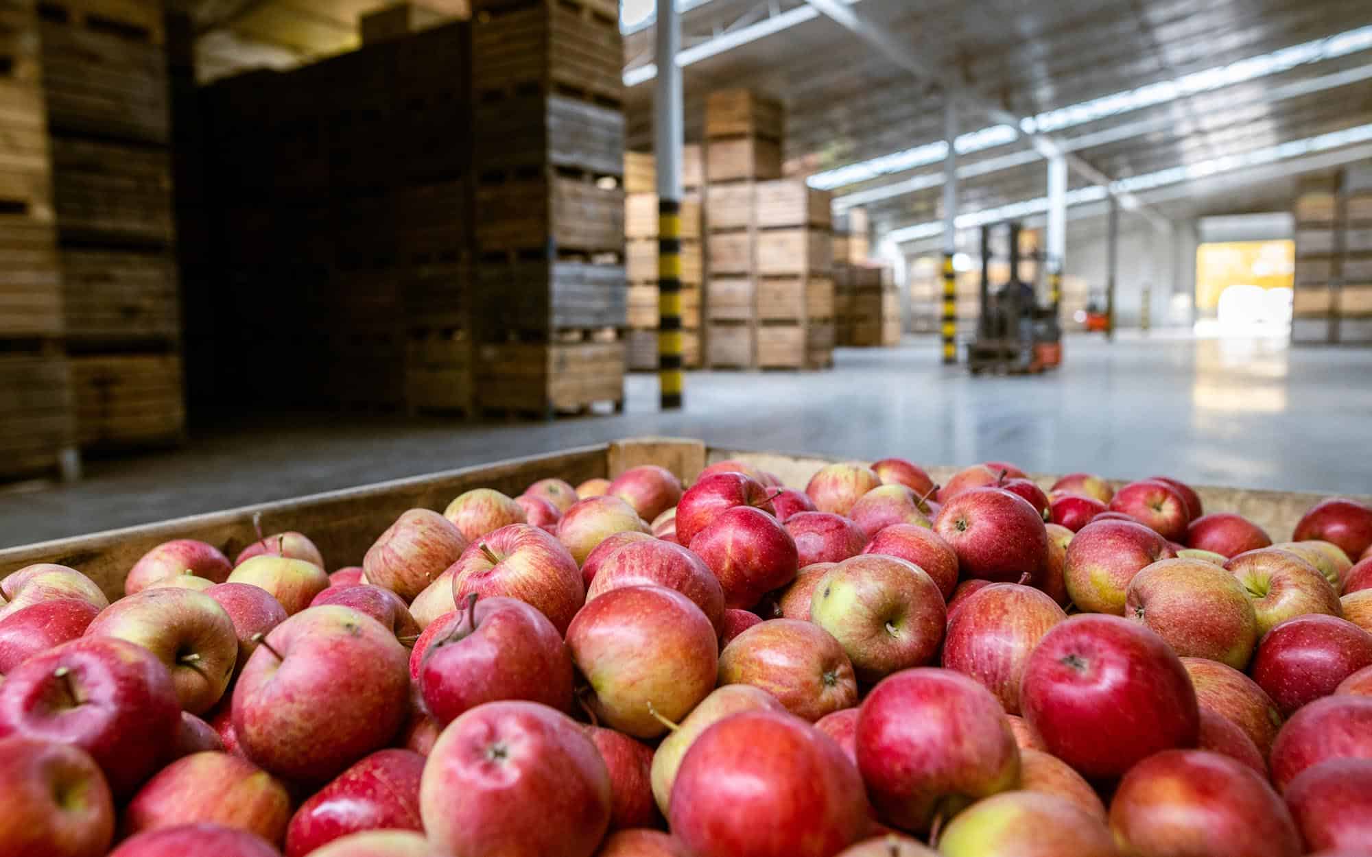 Image Of Boxed Apples In A Food Grade Warehouse.