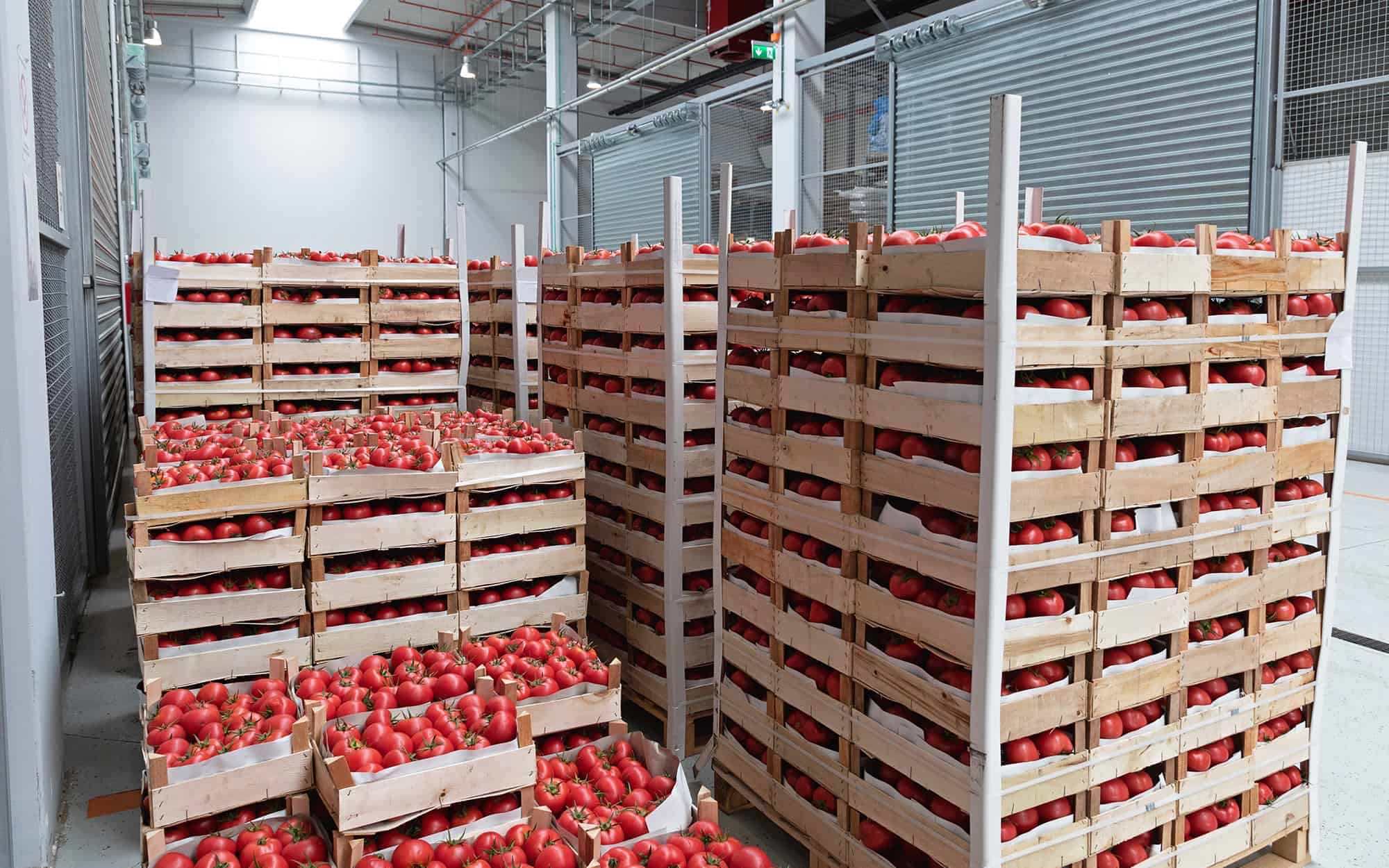 Packaging Considerations In Food Warehousing | FW Logistics